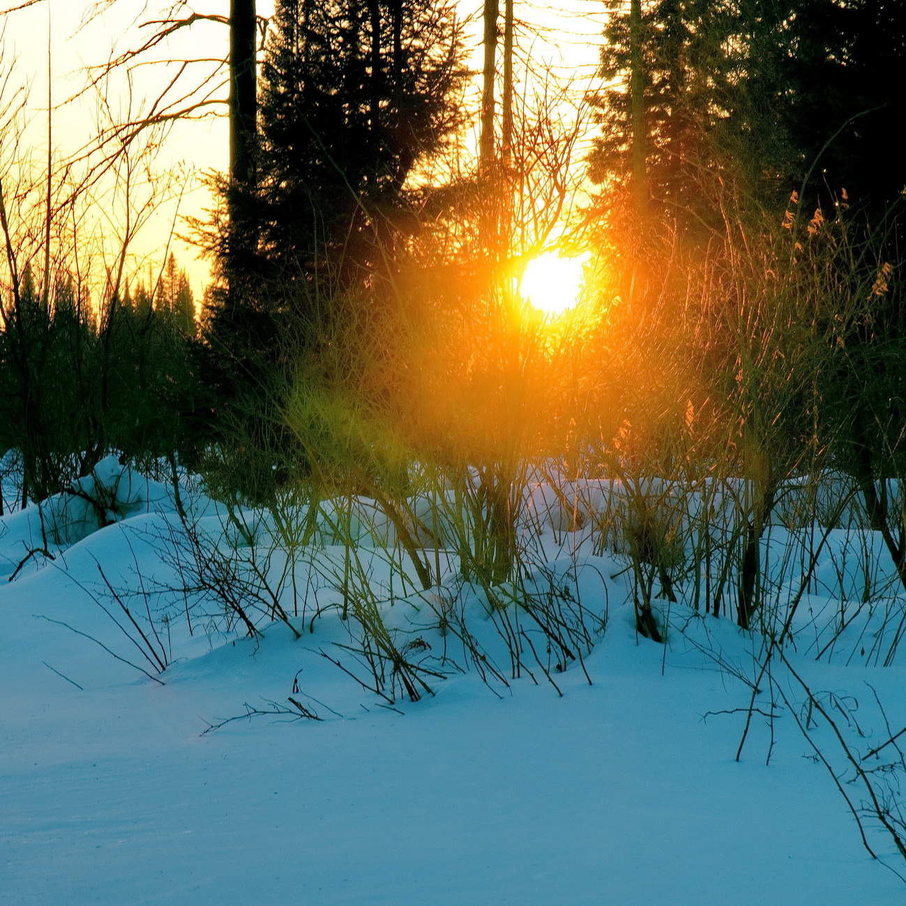 Закатное солнышко.