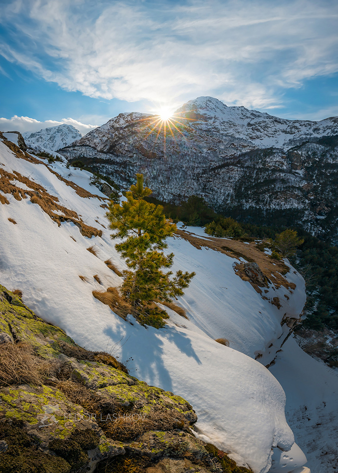 В лучах солнца