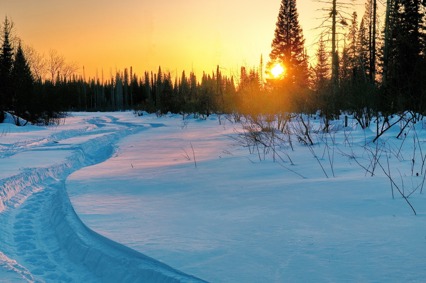 Мартовский вечер.