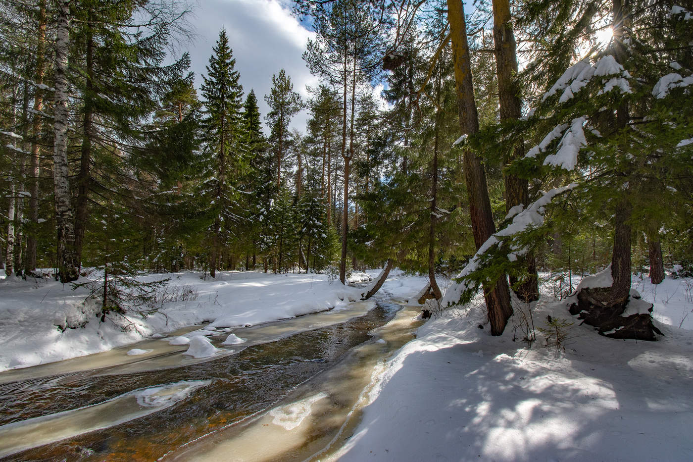 Весенние мотивы