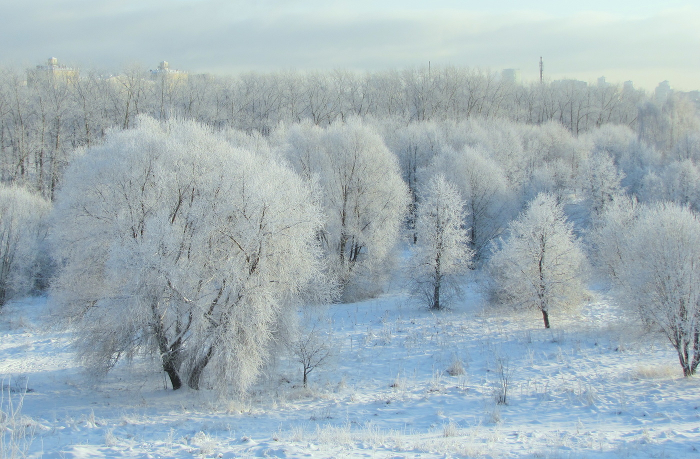 Вспоминая зиму.