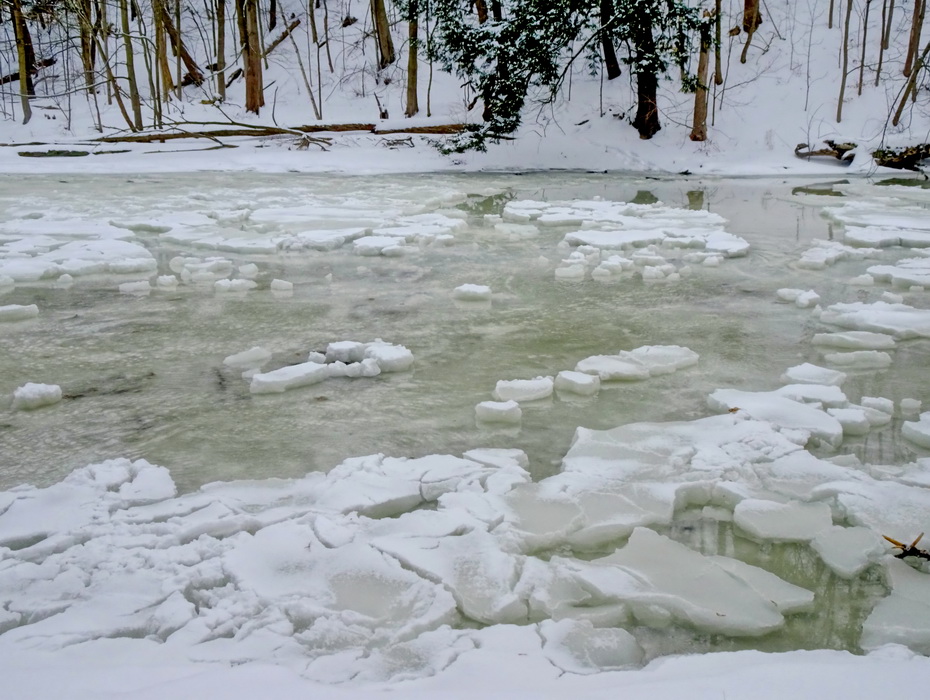 признаки весны