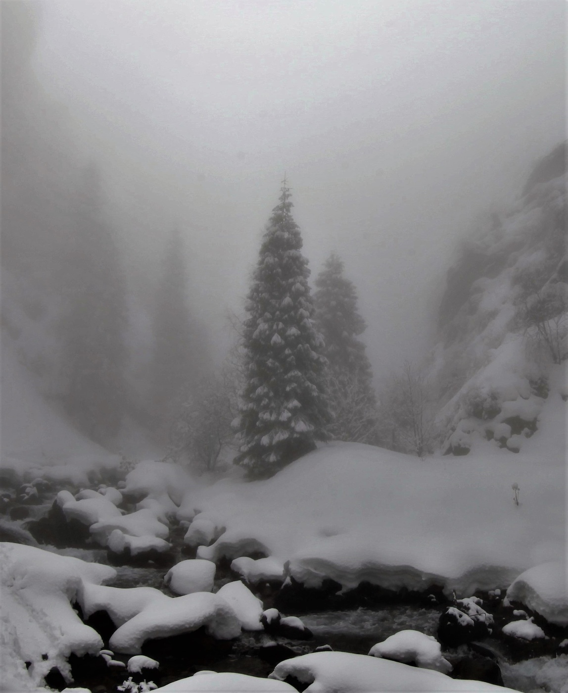 Воспоминания ...