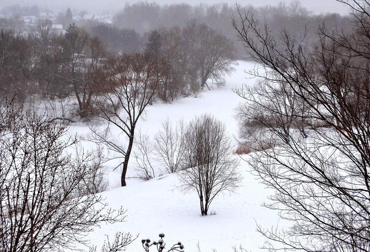 Март засыпал снегом