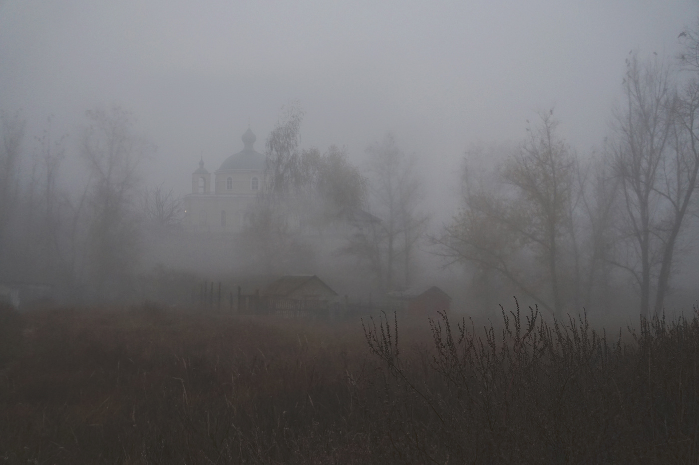 Туман и вороны