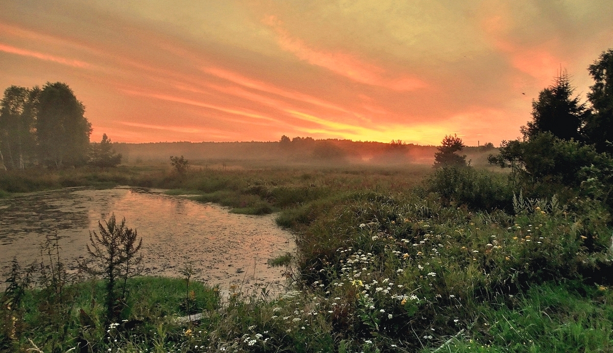 Летний туманный вечер