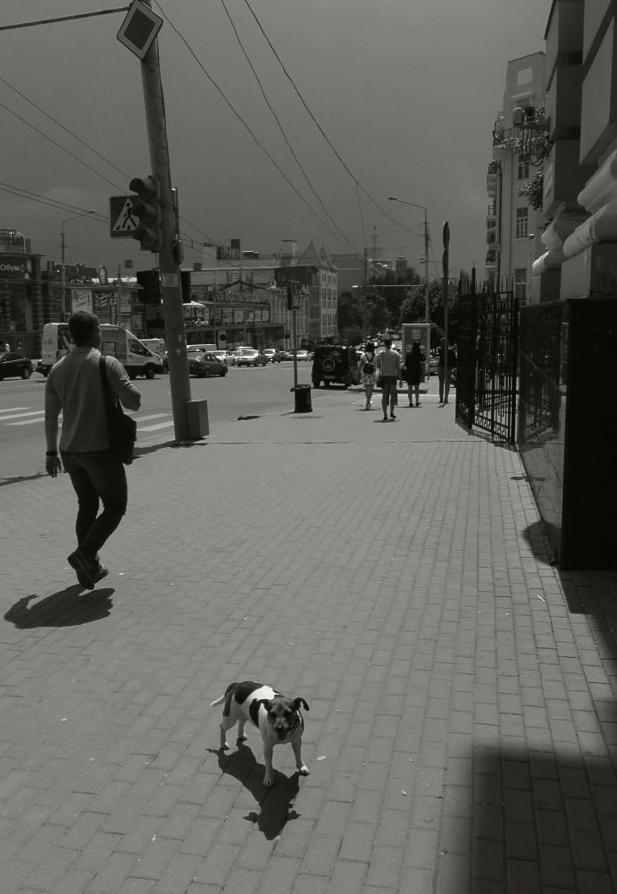 перед грозой