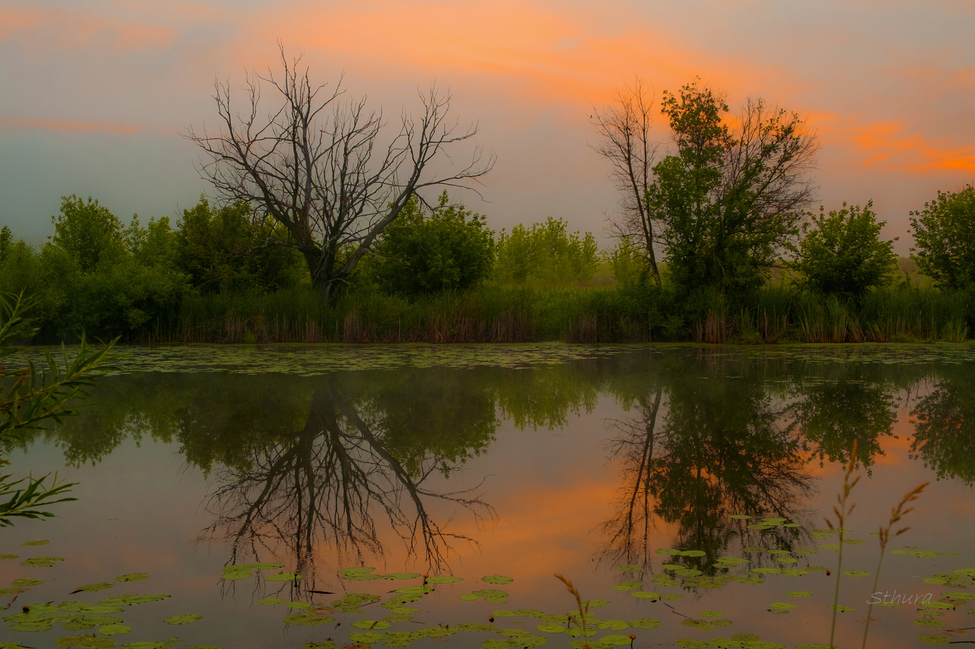Утренняя тишина.