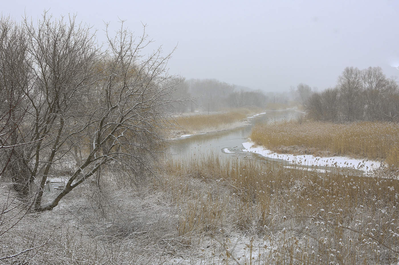 Весна пришла