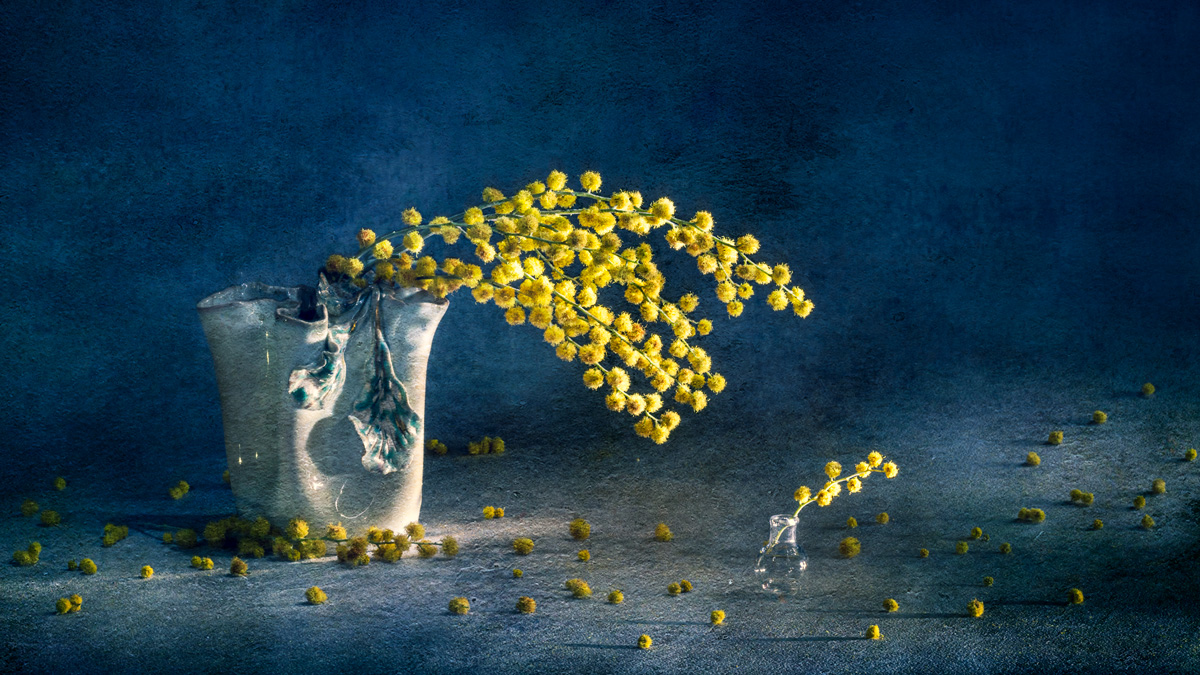 Весенняя мимоза