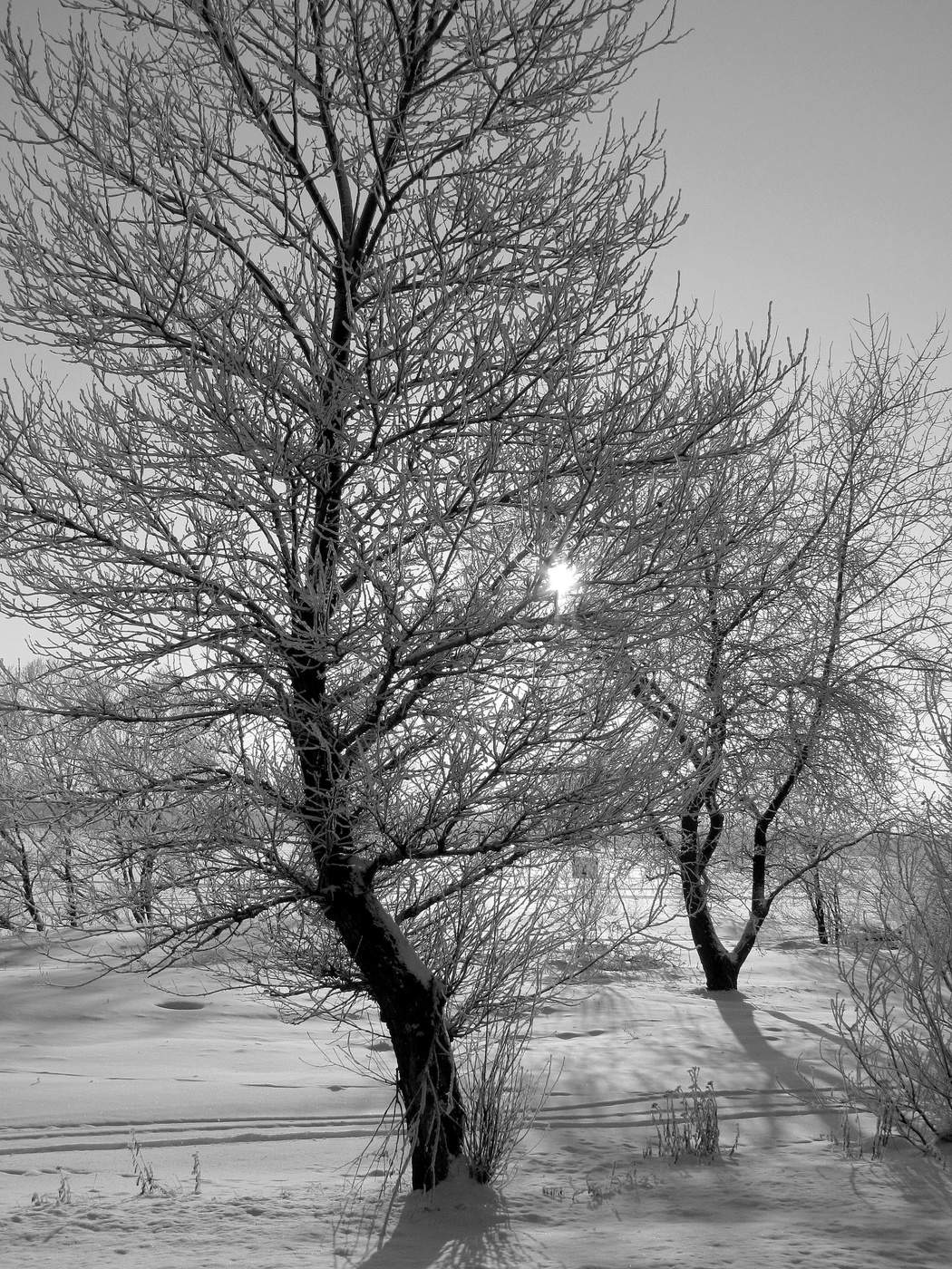 Зимнее солнце.