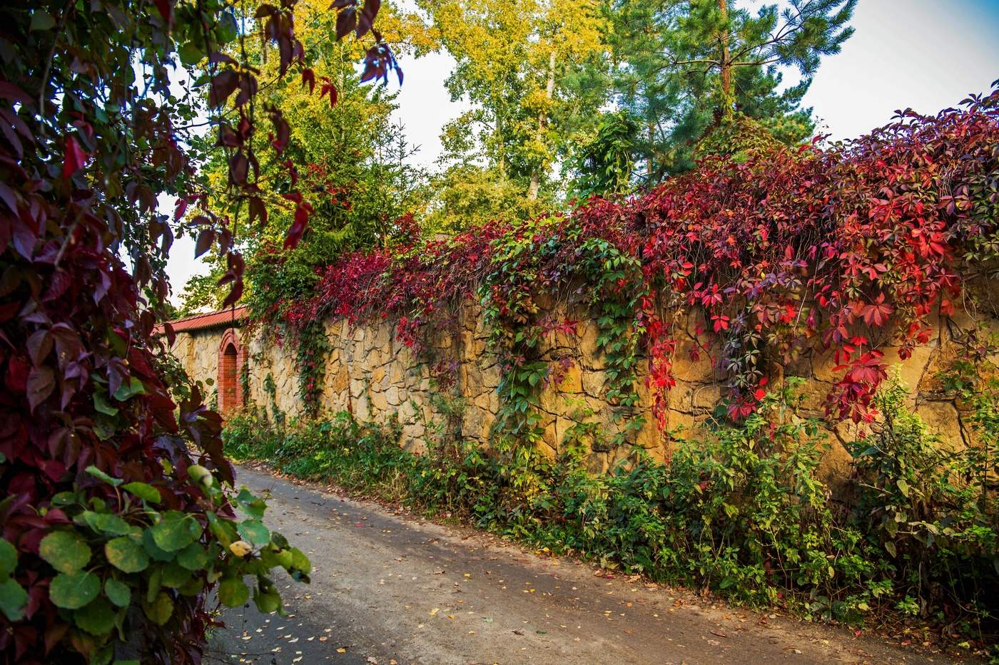 Осенний переулок