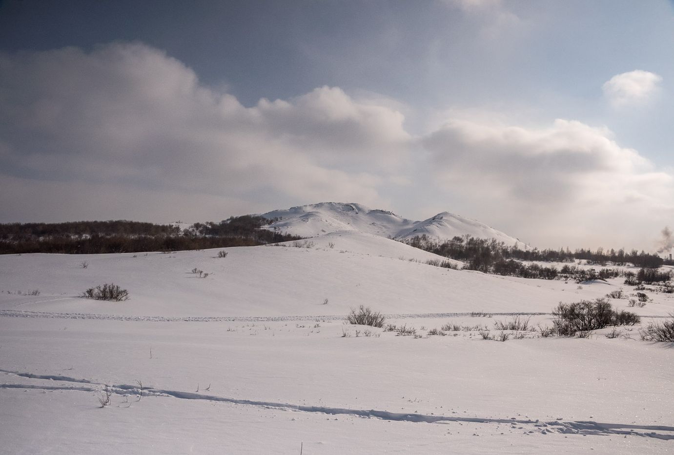 На белом покрывале... марта