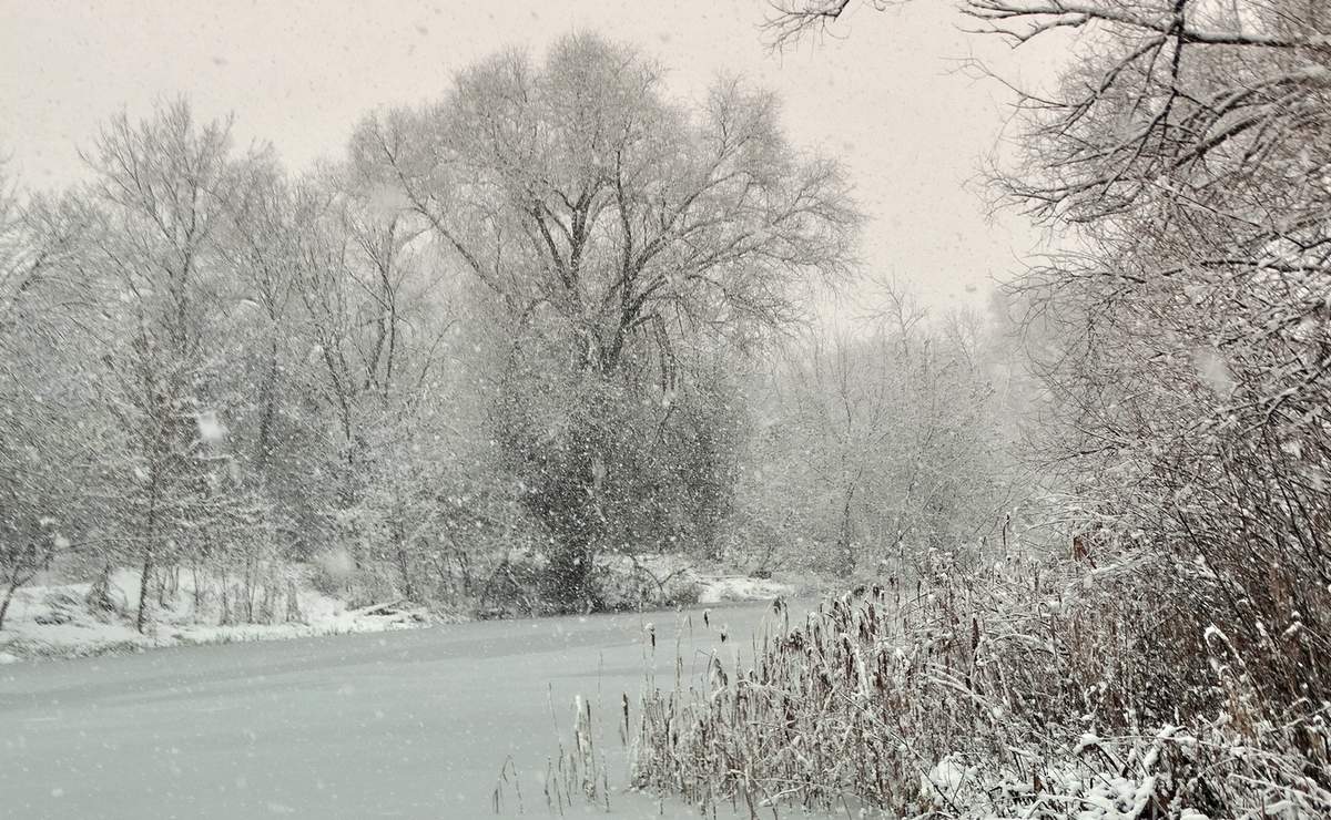 Снежная пелена