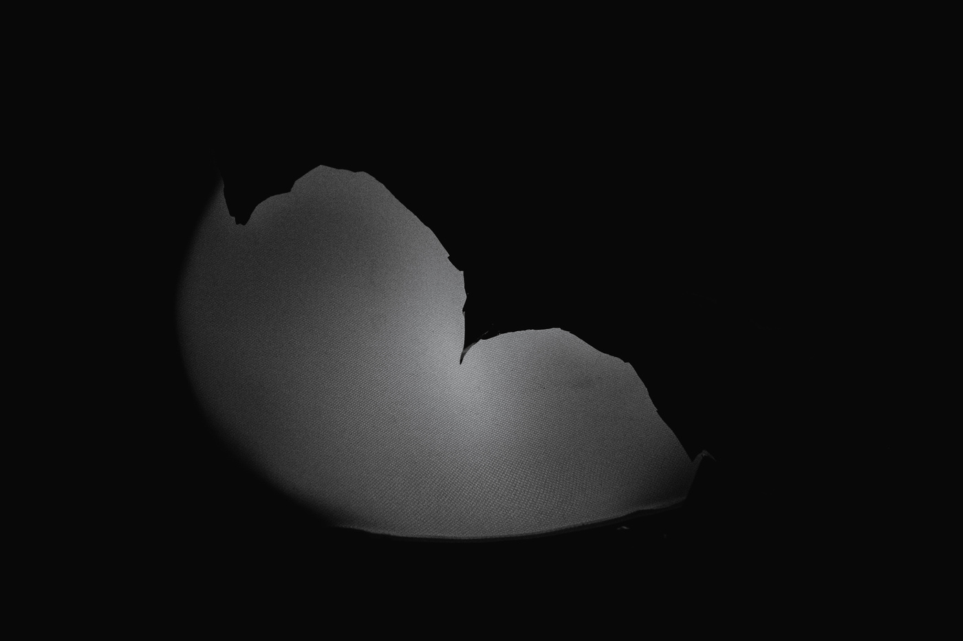 Орнитологическая