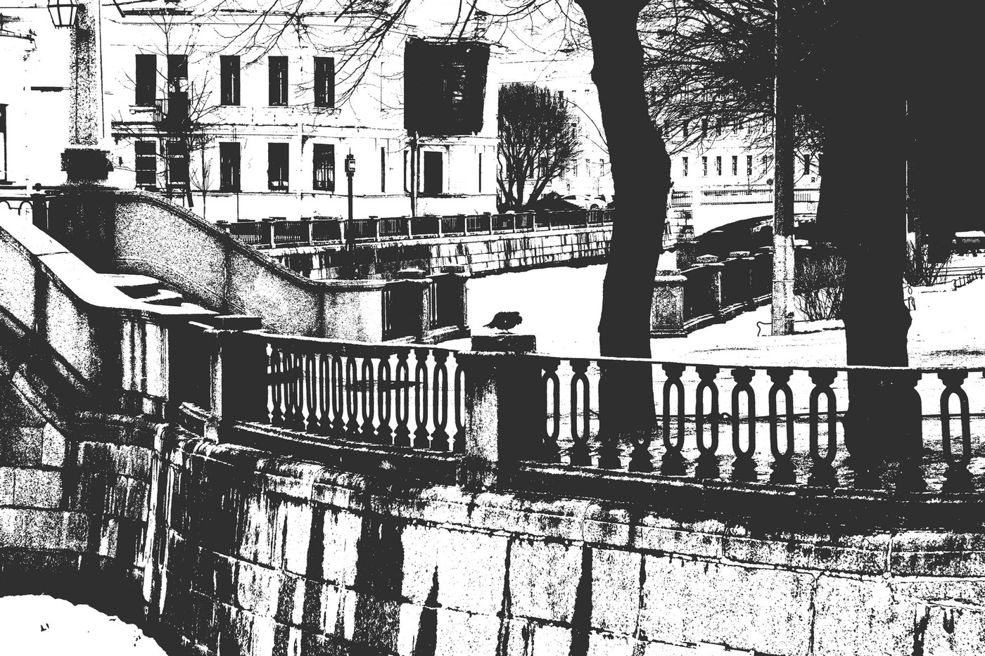 Городская птица