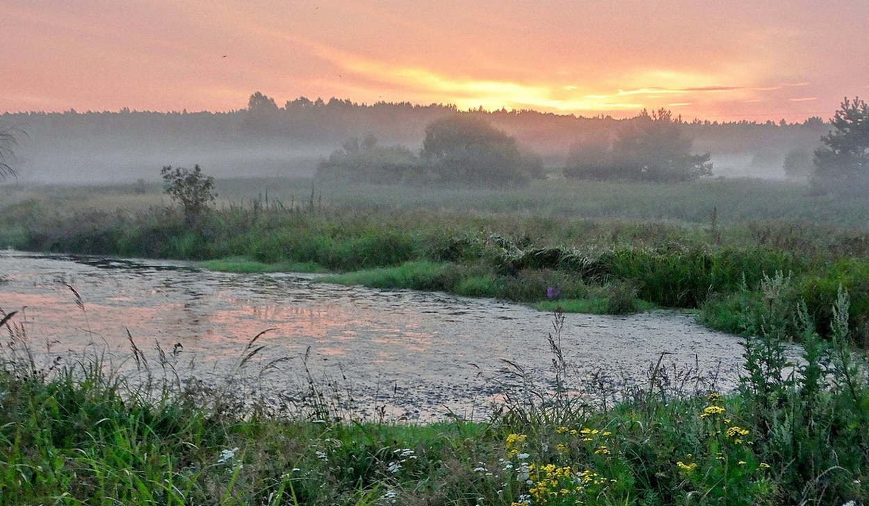 Летние вечерние туманы