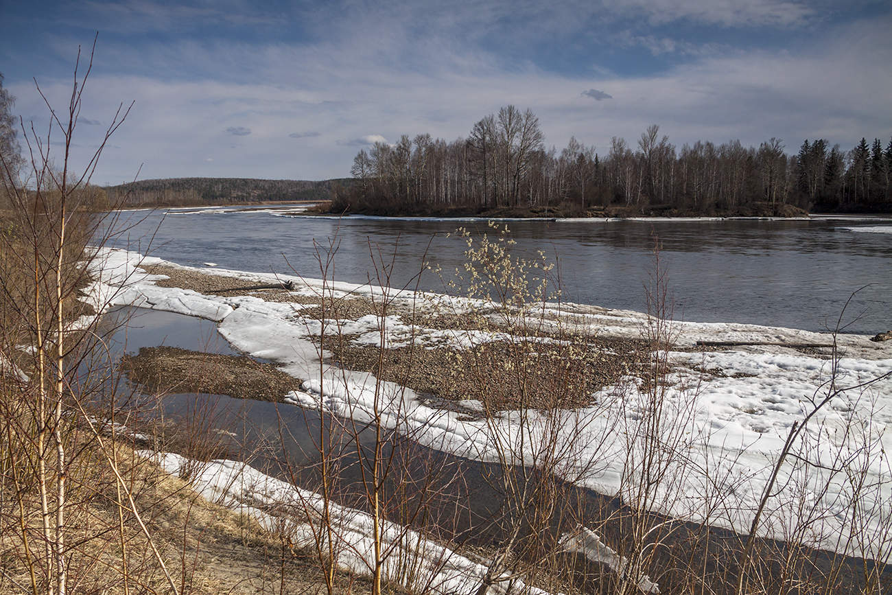 Время вербы