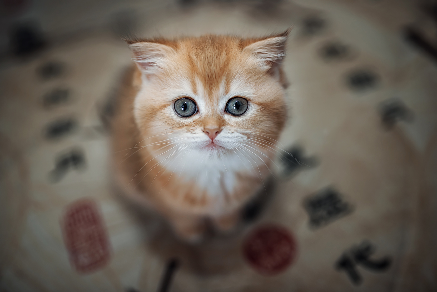 Мандаринка...