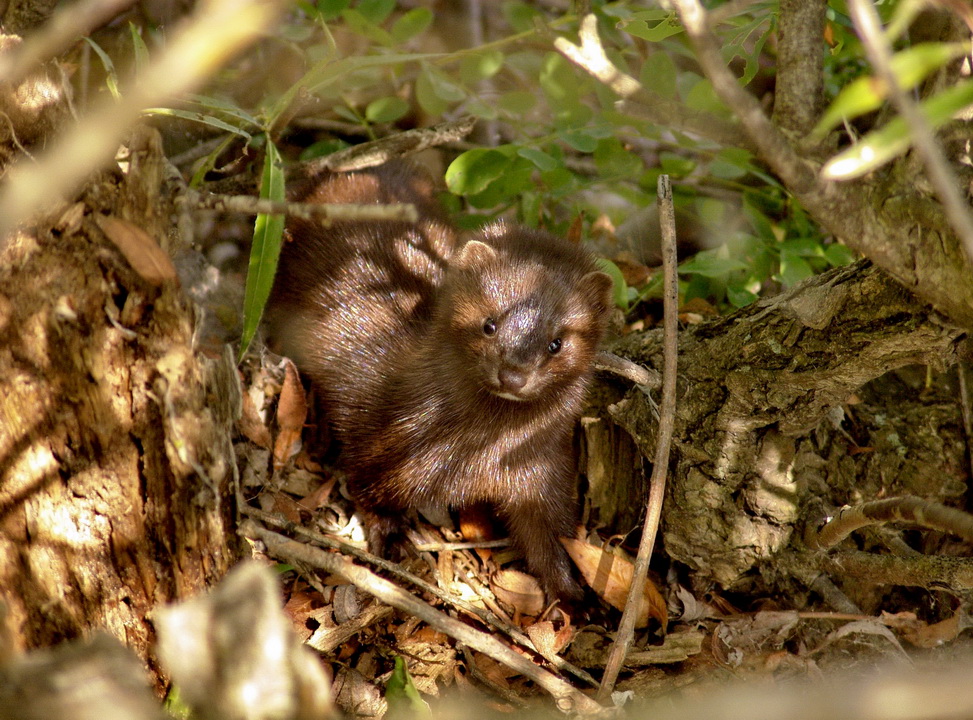 меня не видно ..2