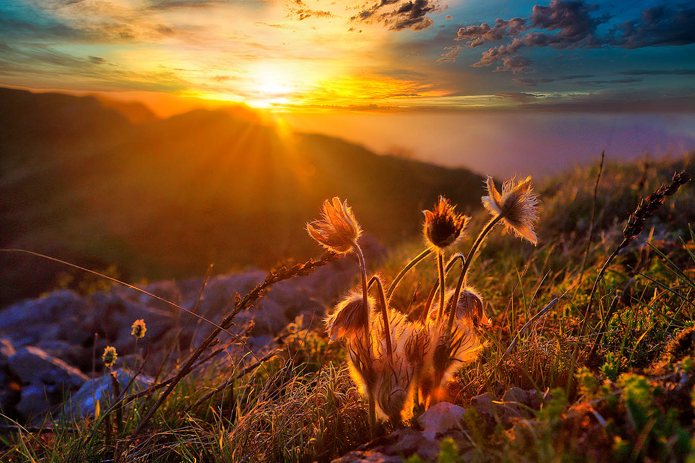 Восход на Чигинитре.