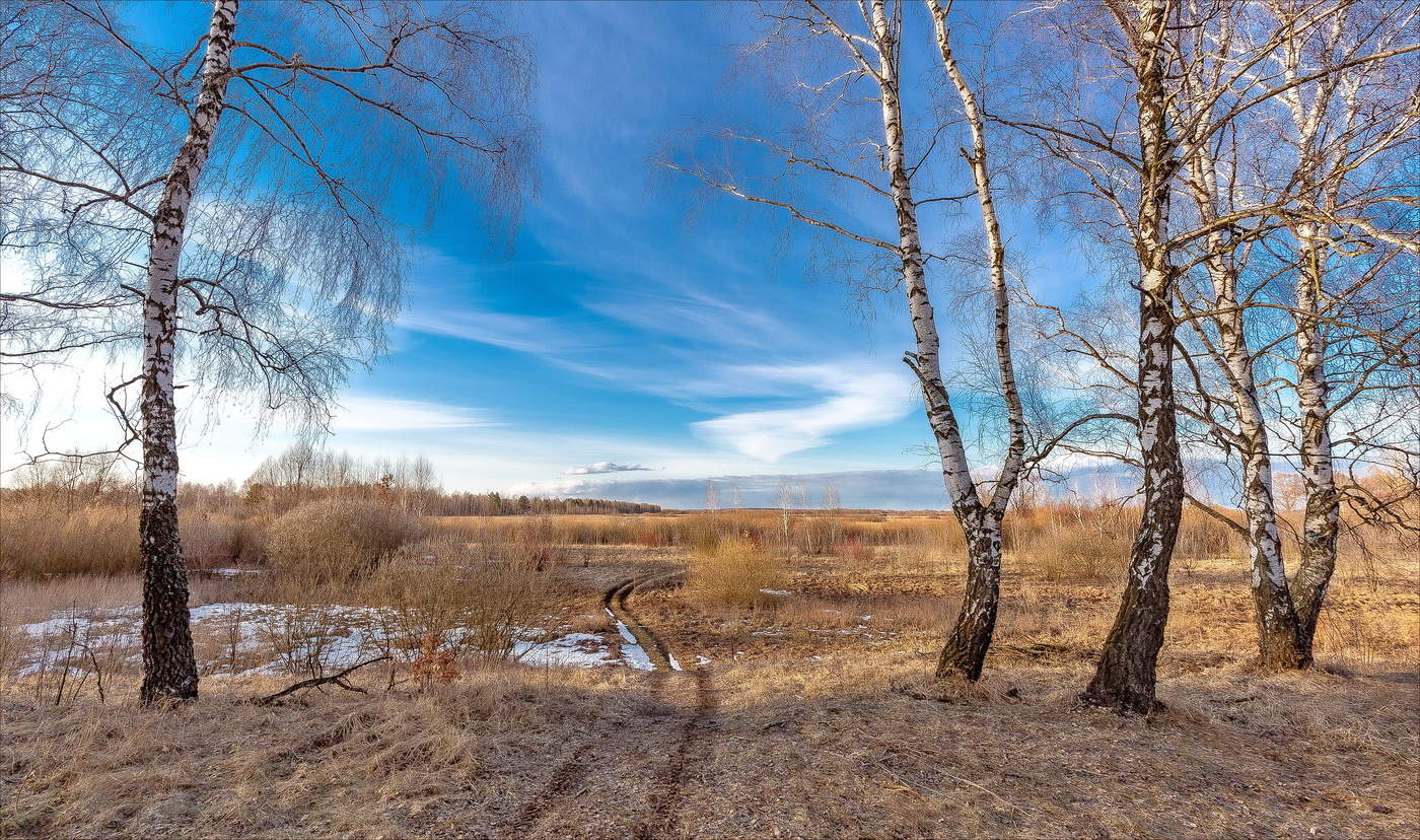 В этой бездонной лазури...