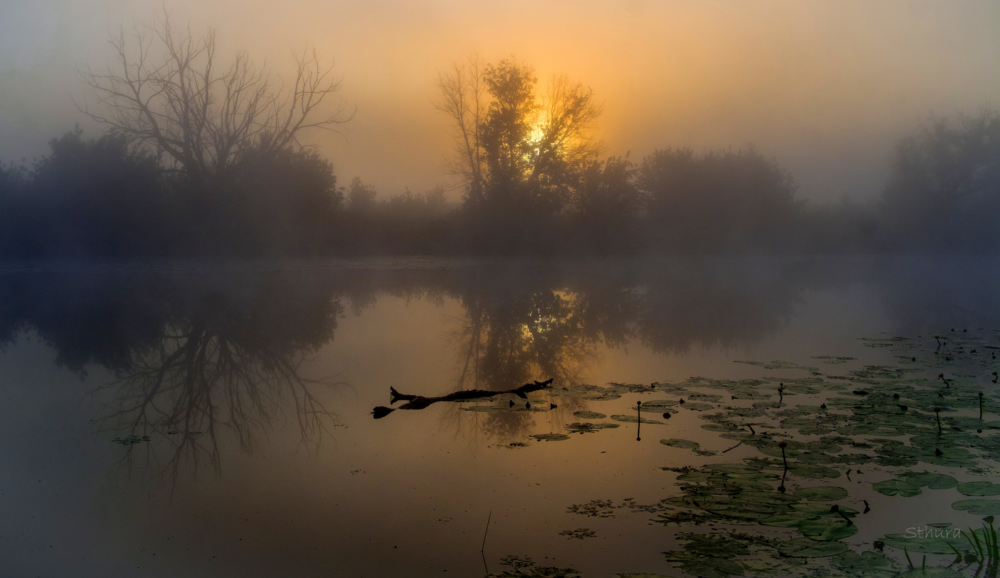 На озере туман.