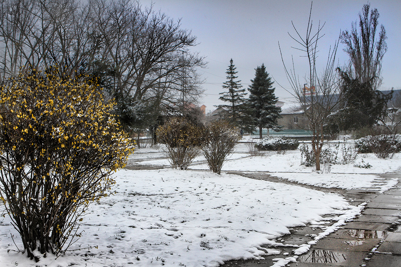 Сюрприз весны.