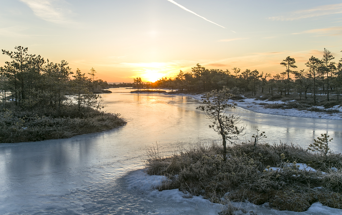 В конце зимы