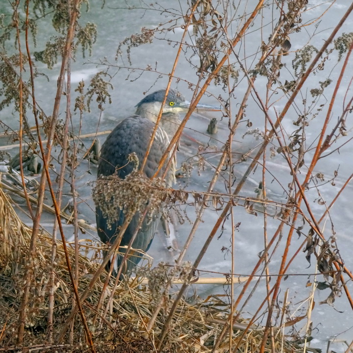 меня не видно ..3