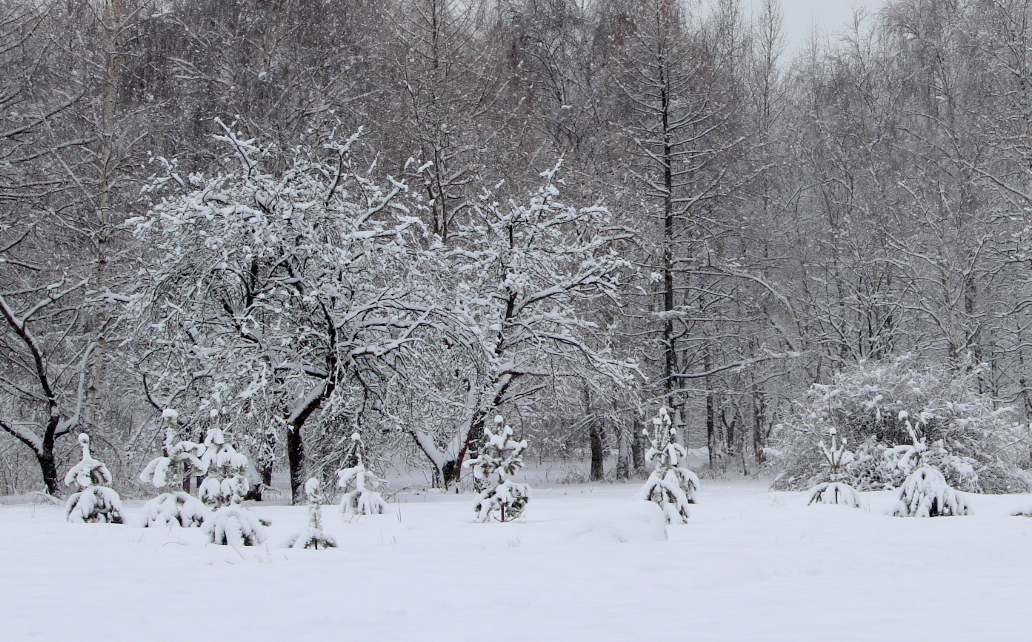 Зимний день.