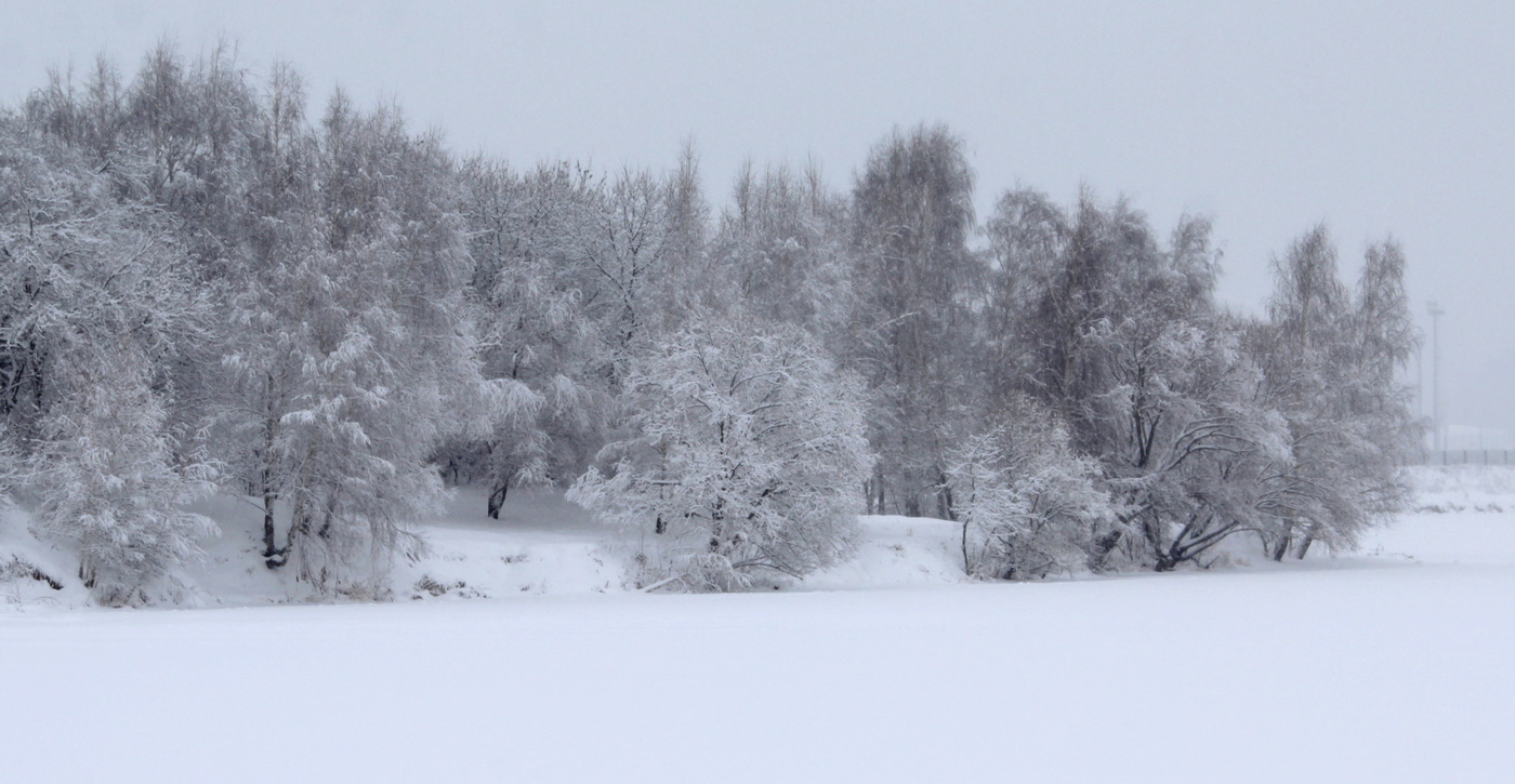 Зимний пейзаж.