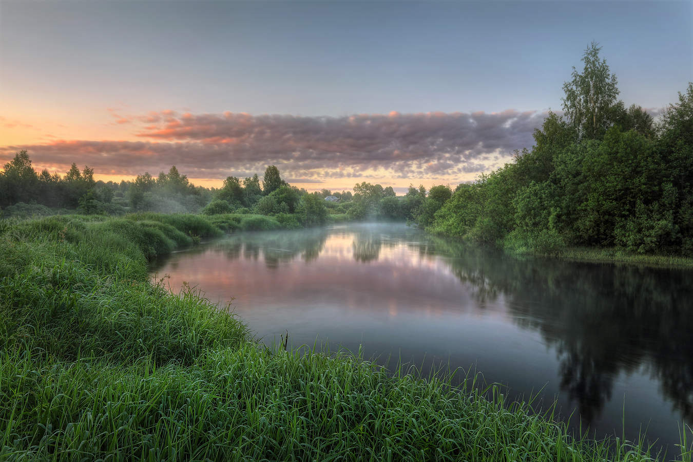 Мечты о лете..