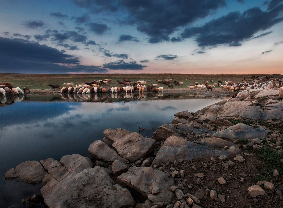 Вечер на водопое