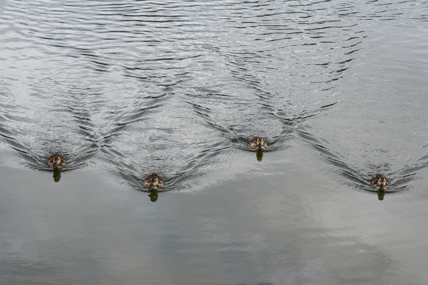 Игры молодых