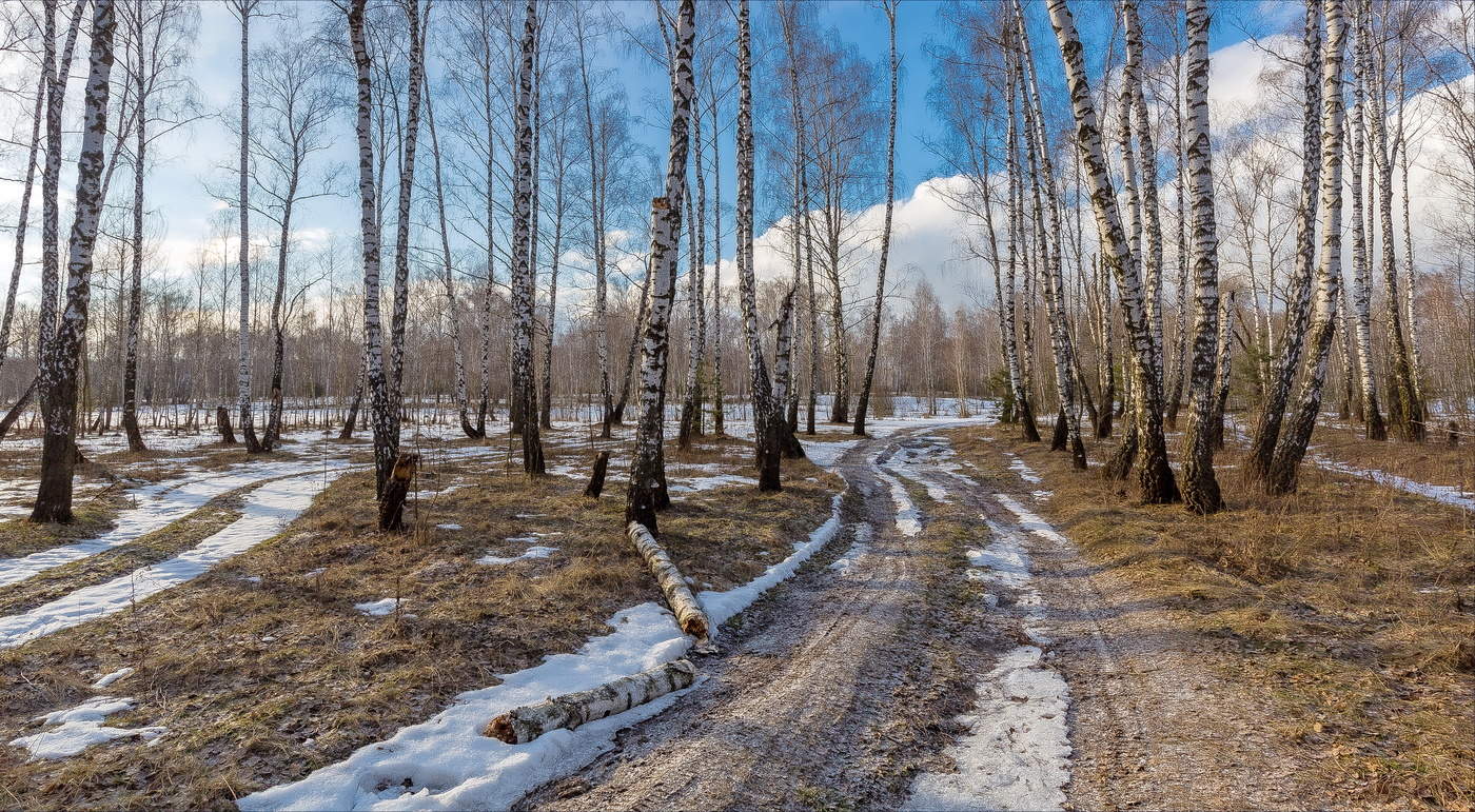 Шла Весна ,осторожно ступая...