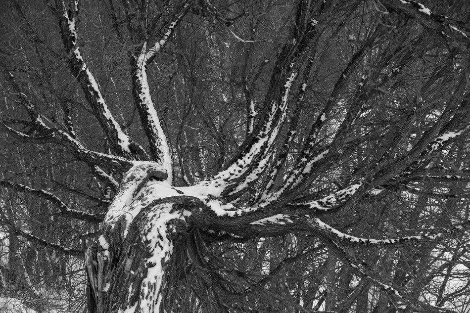 Не для групп соцсетей