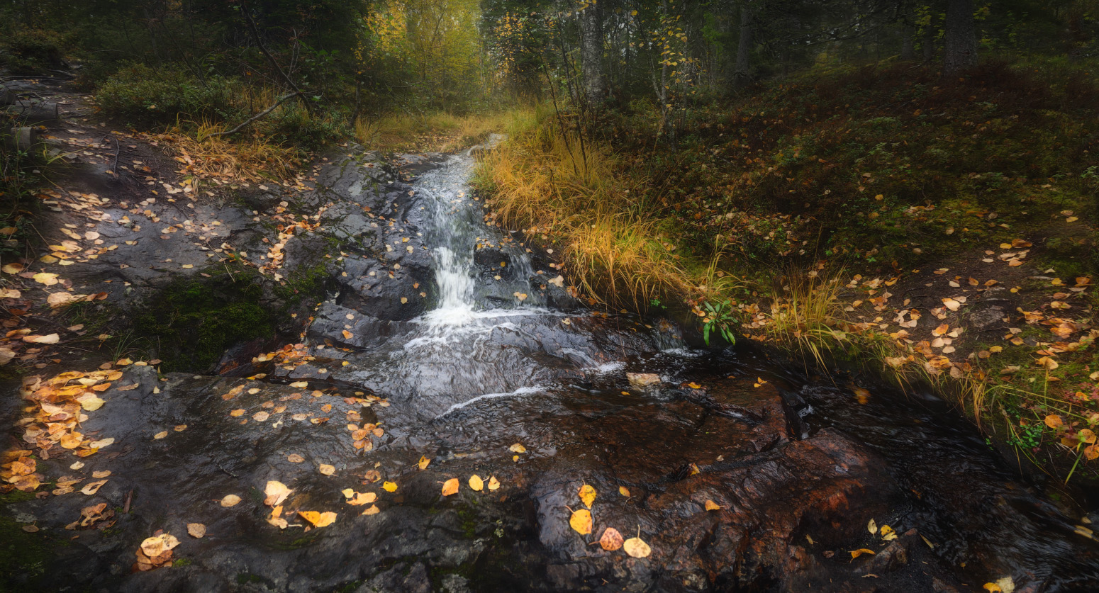 Про горный ручей