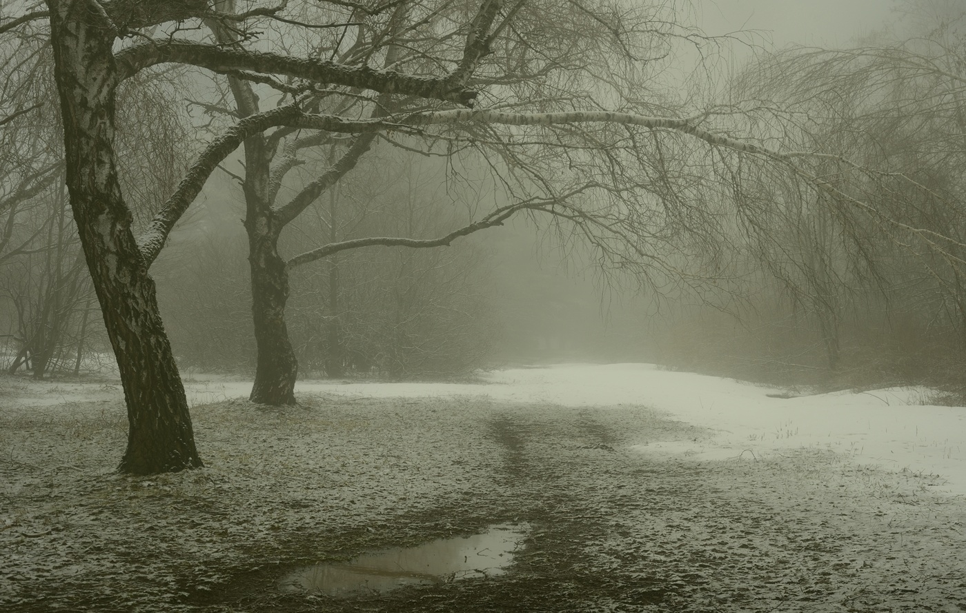 Туманный март