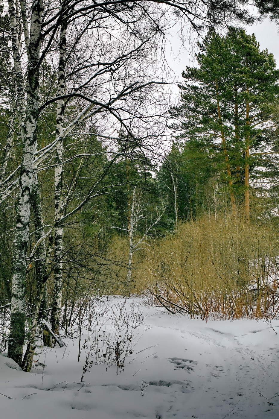 **Хмурый март.*