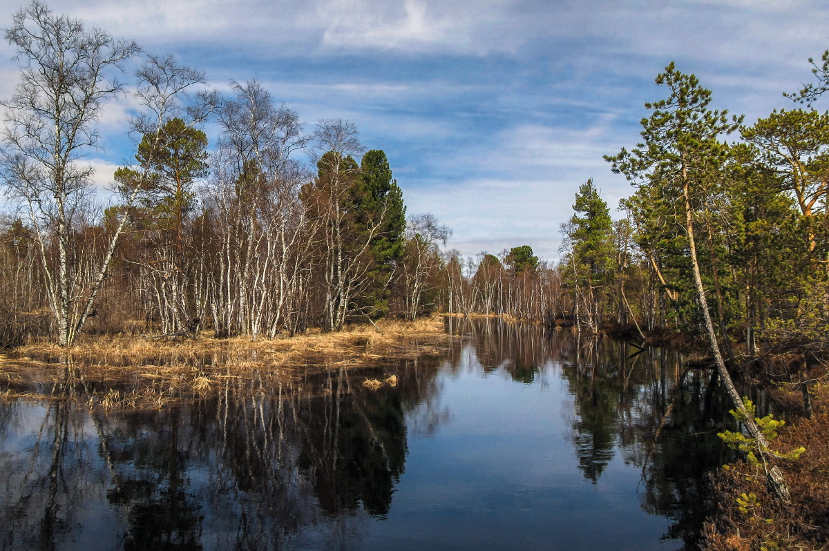 наступило половодье - затопило берега...