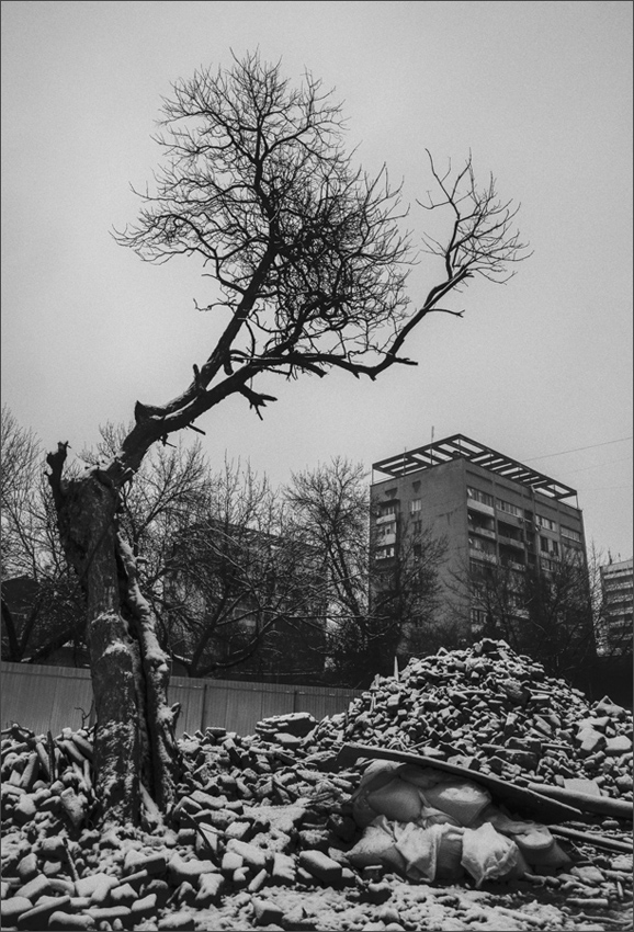 Голосница...