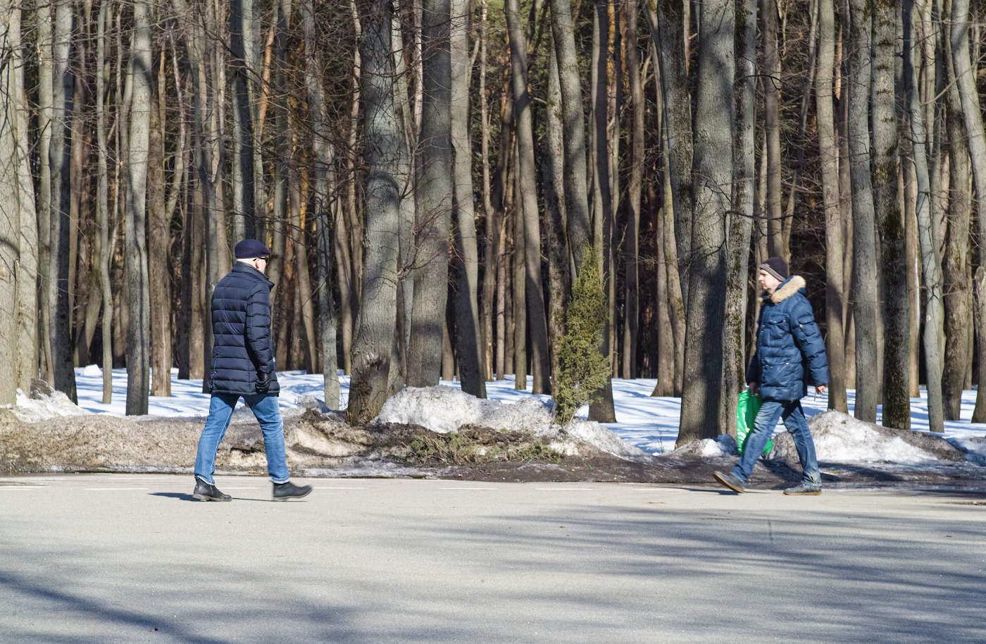 Встречным курсом