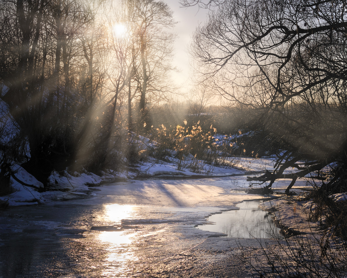 Весенний вечер на Тулице