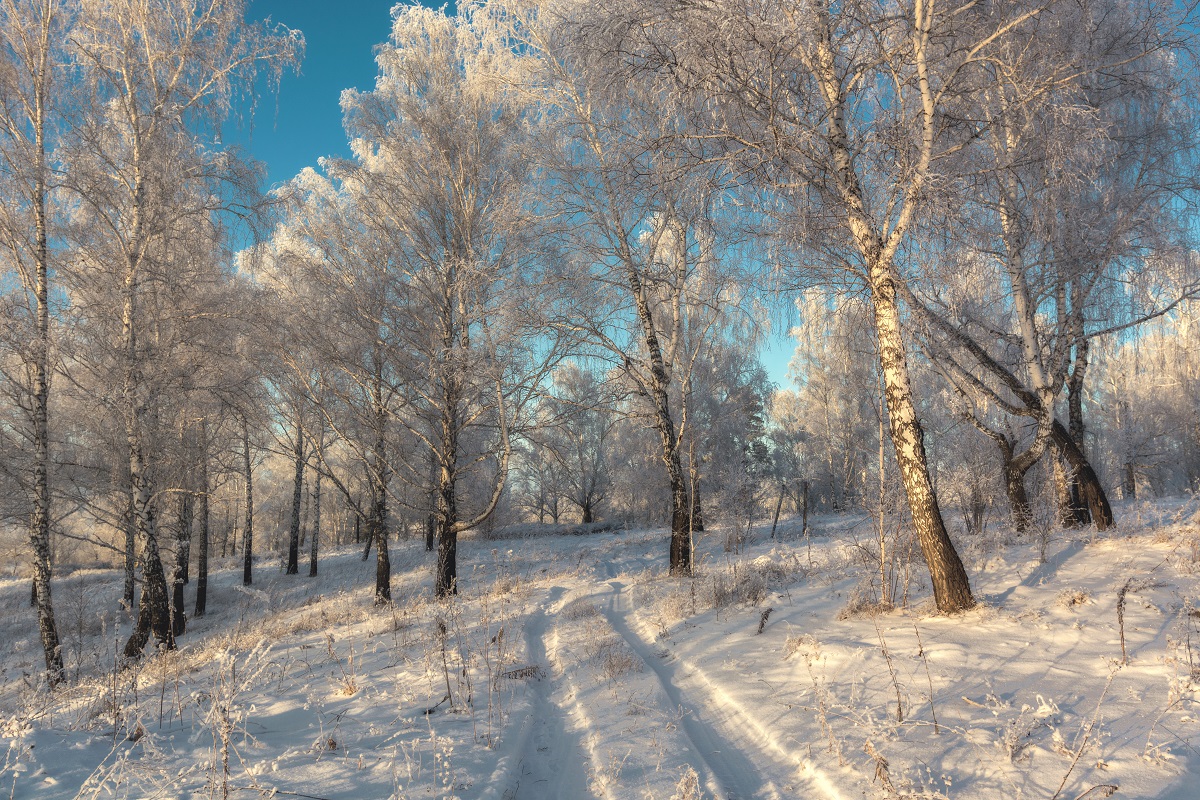 Не много про зиму