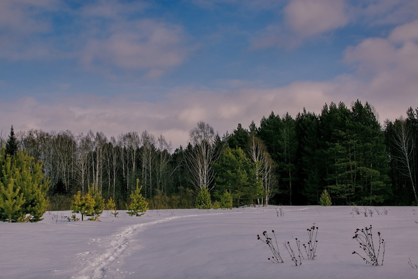 Мартовским днём.