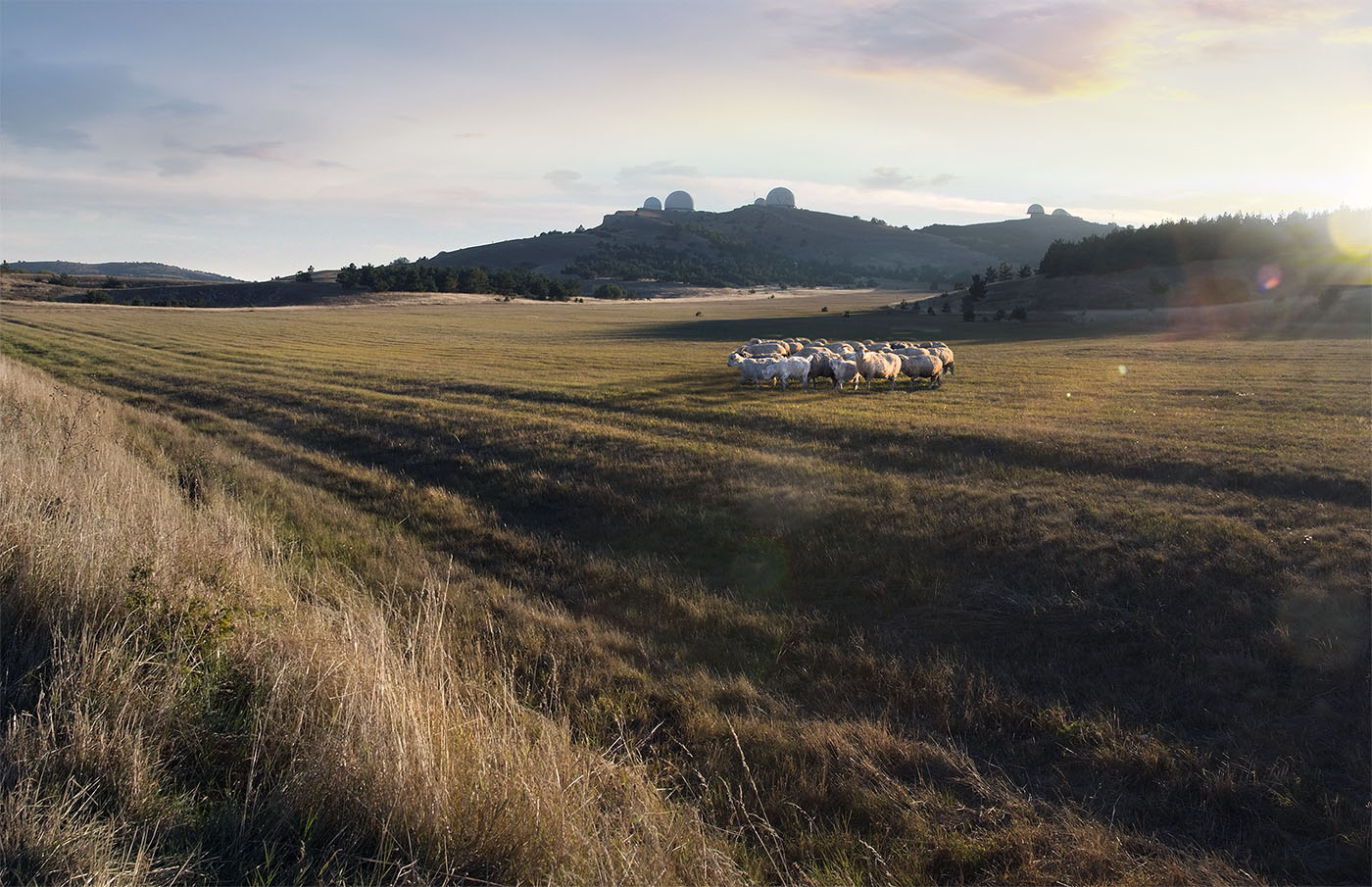 на Ай Петри