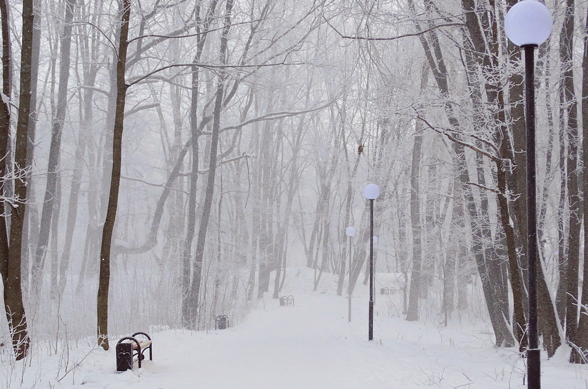 В парке метёт