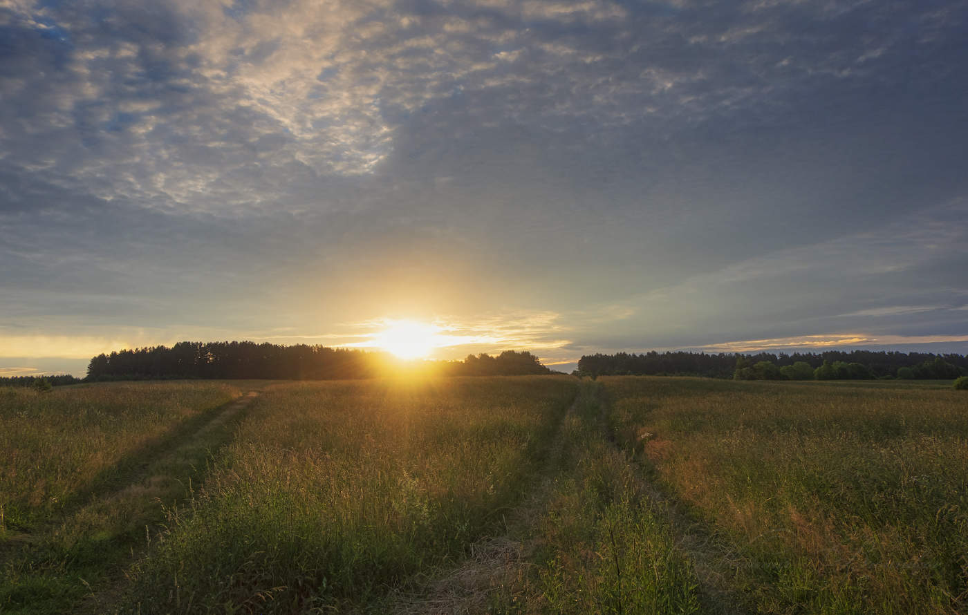 Дороги, которые мы выбираем...