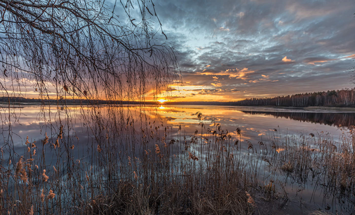 Весенние лучи